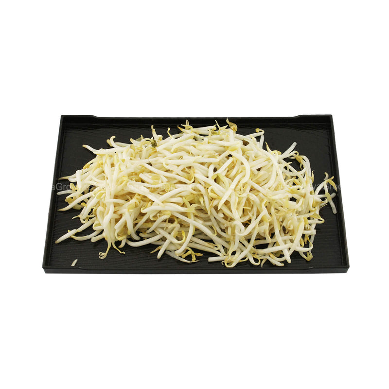 Bean Sprout (Taugeh) (Malaysia) 500g