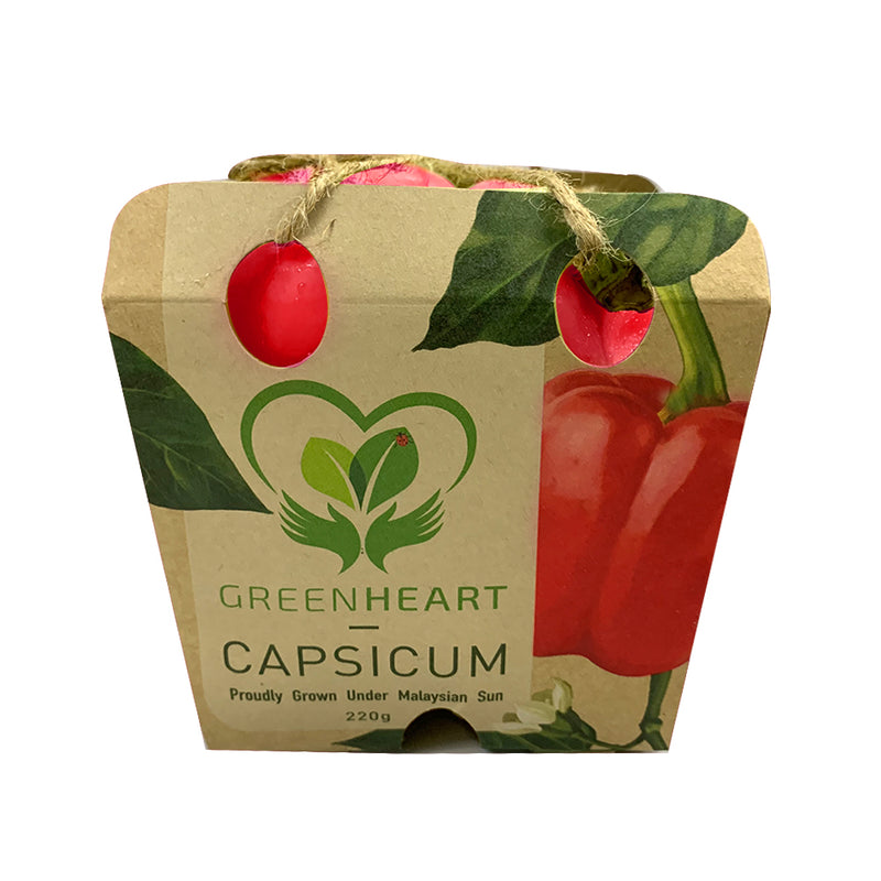 Greenheart Red Capsicum (Malaysia) 1pack